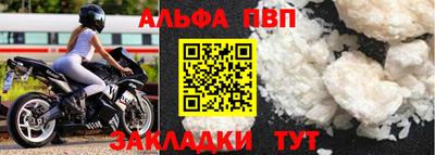 jwh Кингисепп